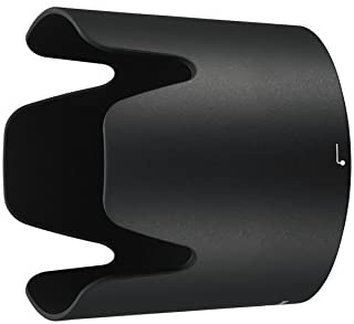 Nikon AF-P NIKKOR 70-300mm f/4.5-5.6E ED VR Fixed Zoom Digital Slr Camera Lens, Black