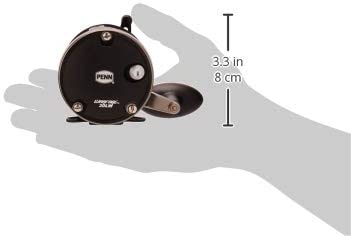 Penn Warfare Level Wind Conventional Fishing Reel