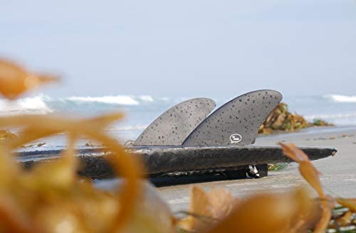 Ho Stevie! Surfboard Twin Keel Fins (2 Fins) - FCS or Futures Sizes, with Fin Bag, Screws, Wax Comb and Fin Key - Fins for Fish Surf Boards