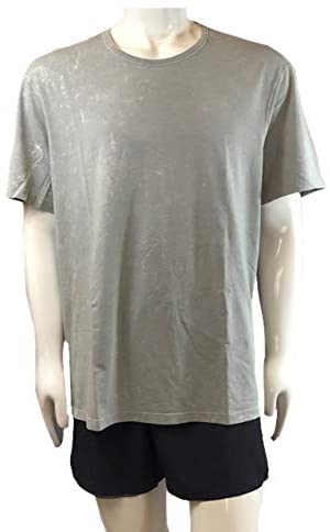 Lululemon 5 Year Basic T - MWLC (Mineral Washed Light Cast)