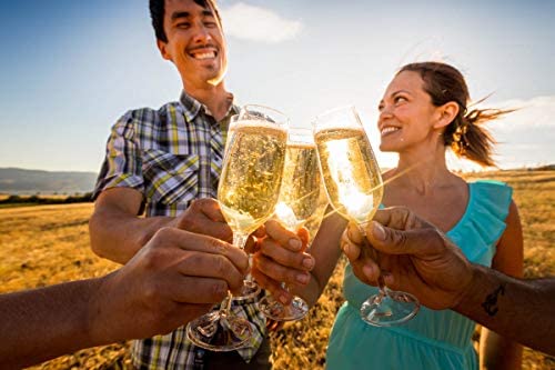 GSI Outdoors 79332 Packable Champagne Flute Set, Clear
