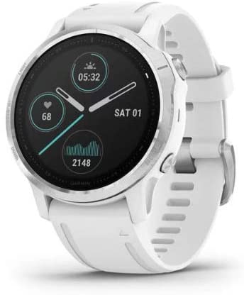 Garmin Fenix 6S Multisport GPS Smartwatch (White with White Band) Performance Bundle (4 Items)