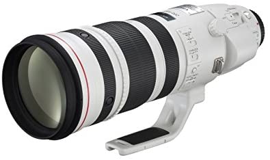 Canon EF 200-400mm f/4L IS USM Extender 1.4x