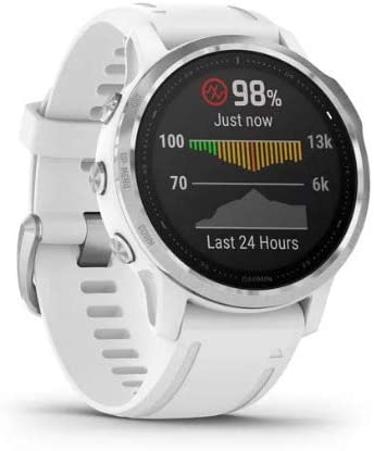 Garmin Fenix 6S Multisport GPS Smartwatch (White with White Band) Performance Bundle (4 Items)