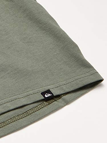 Quiksilver Men's Modern Script TEE, Agave Green, M