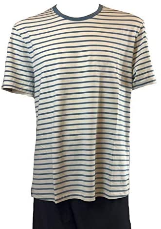 Lululemon 5 Year Basic T - YSOU (Yachtie Stripe Ocean Mist Utility Blue)