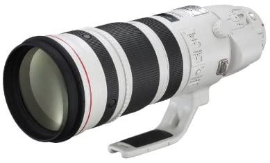 Canon EF 200-400mm f/4L IS USM Extender 1.4x