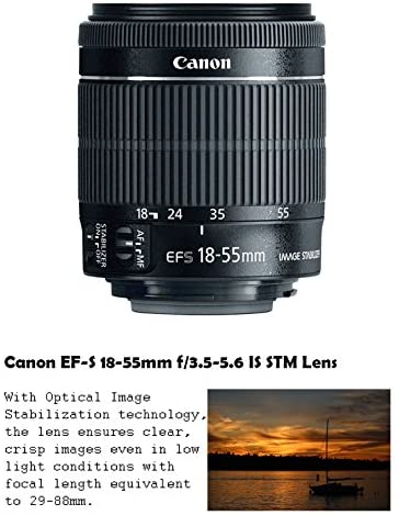 Canon EOS 80D DSLR Camera w/Canon 18-55mm STM Lens Kit + Pro Photo & Video Accessories Including 128GB Memory, Speedlight TTL Flash, Battery Grip, LED Light, Condenser Micorphone