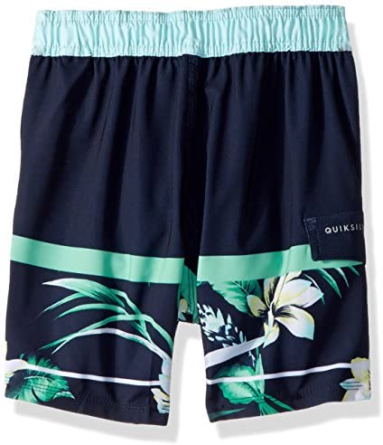 Quiksilver Boys' Big Slab Island Kids Swim Trunks, Navy Blazer, 29