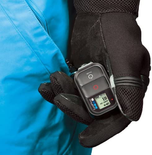 GoPro Wi-Fi Remote (GoPro Official Accessory)