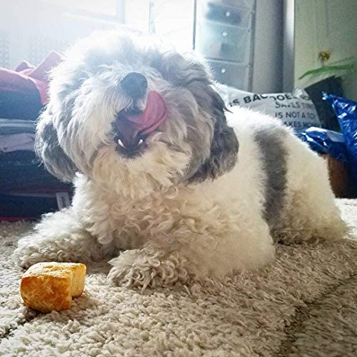 Yeti Natural Himalayan Yak Cheese Dog Nuggets Treats, 6-8 Pieces, 3.5 Oz