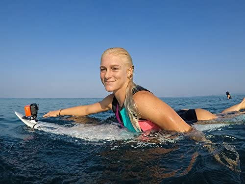 GoPro Bite Mount + Floaty (All GoPro Cameras) - Official GoPro Mount