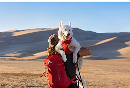 Gregory Mountain Products Men's Salvo 18 Liter Day Hiking Backpack | Hiking, Walking, Travel | Internal Frame, Hydration Compatible, Easy-Access Pockets