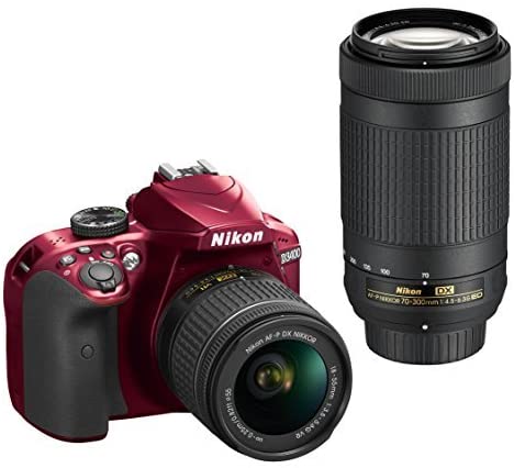 Nikon D3400 w/ AF-P DX NIKKOR 18-55mm f/3.5-5.6G VR (Black)