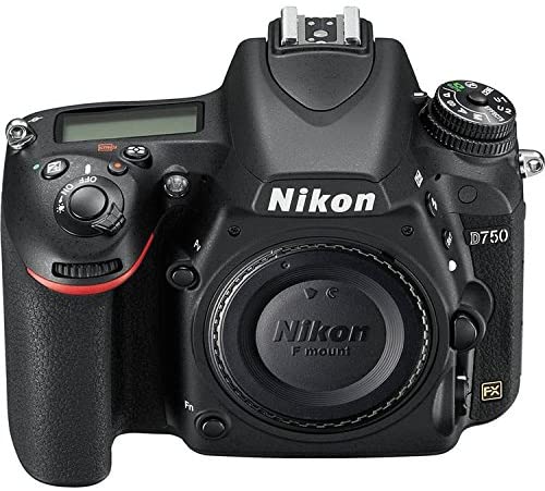 Nikon D750 24.3MP HD 1080p FX-Format Digital SLR Camera (Body Only) and Deluxe Accessory Bundle (10 Items)
