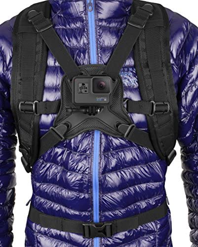 GoPro Seeker Backpack with Hydration and Laptop Compartment (Gopro Official Accessory)