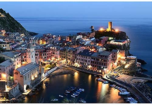 Nikon Z50 Mirrorless Camera Body 4K UHD DX-Format Bundle FTZ Lens Mount Adapter and Deco Gear Backpack Travel Case + Photo Video LED + Compact Tripod + 64GB Card + Software & Accessories