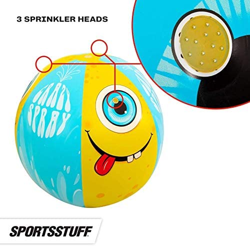 Sportsstuff Aqua Hockey | Pool Game for 2 Players | Great for Use on Land or Water