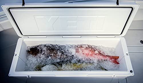 YETI Tundra 350 Cooler, White