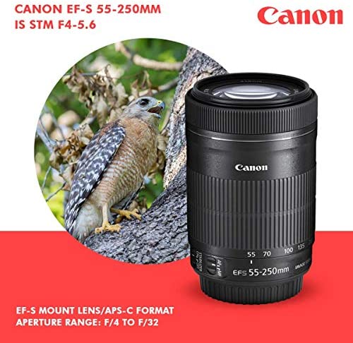 Canon T7 EOS Rebel DSLR Camera with EF-S 18-55mm f/3.5-5.6 is II and 55-250mm f4-5.6 is STM Lenses + 64GB SD Card Platinum Bundle