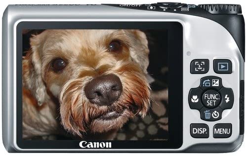 Canon Powershot A2200 14.1 MP Digital Camera with 4x Optical Zoom (Black)