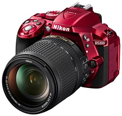 Nikon D5300 24.2 MP CMOS Digital SLR Camera with Built-in Wi-Fi and GPS Body Only (Black)