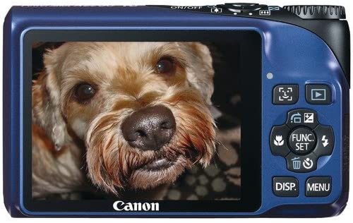 Canon Powershot A2200 14.1 MP Digital Camera with 4x Optical Zoom (Black)