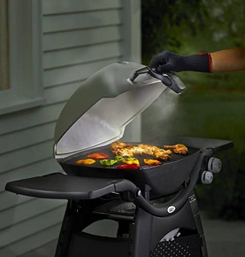Weber 6530 1000/2000 Q Series Grill Out Handle Light