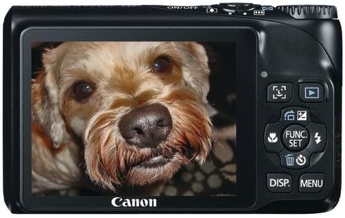 Canon Powershot A2200 14.1 MP Digital Camera with 4x Optical Zoom (Black)
