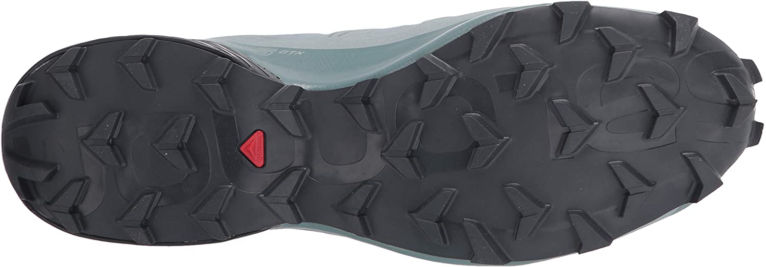 Salomon Men's Speedcross 5 GTX Trail Running Shoe