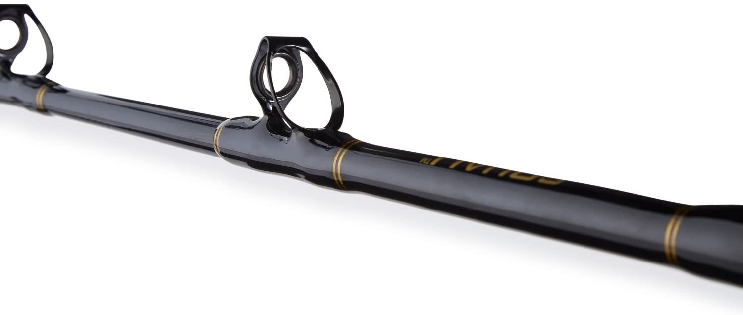 PENN Squall Level Wind Reel & Rod Fishing Combo