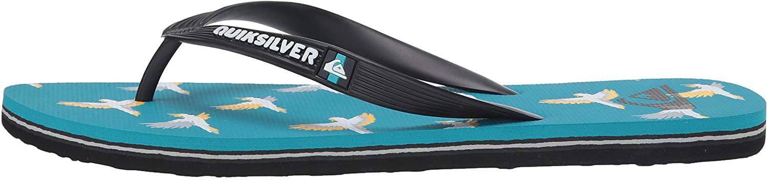 Quiksilver Men's Molokai Cockatoo Flip-Flop