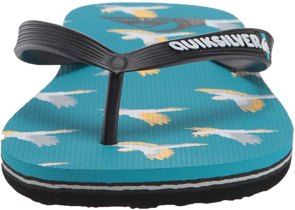 Quiksilver Men's Molokai Cockatoo Flip-Flop