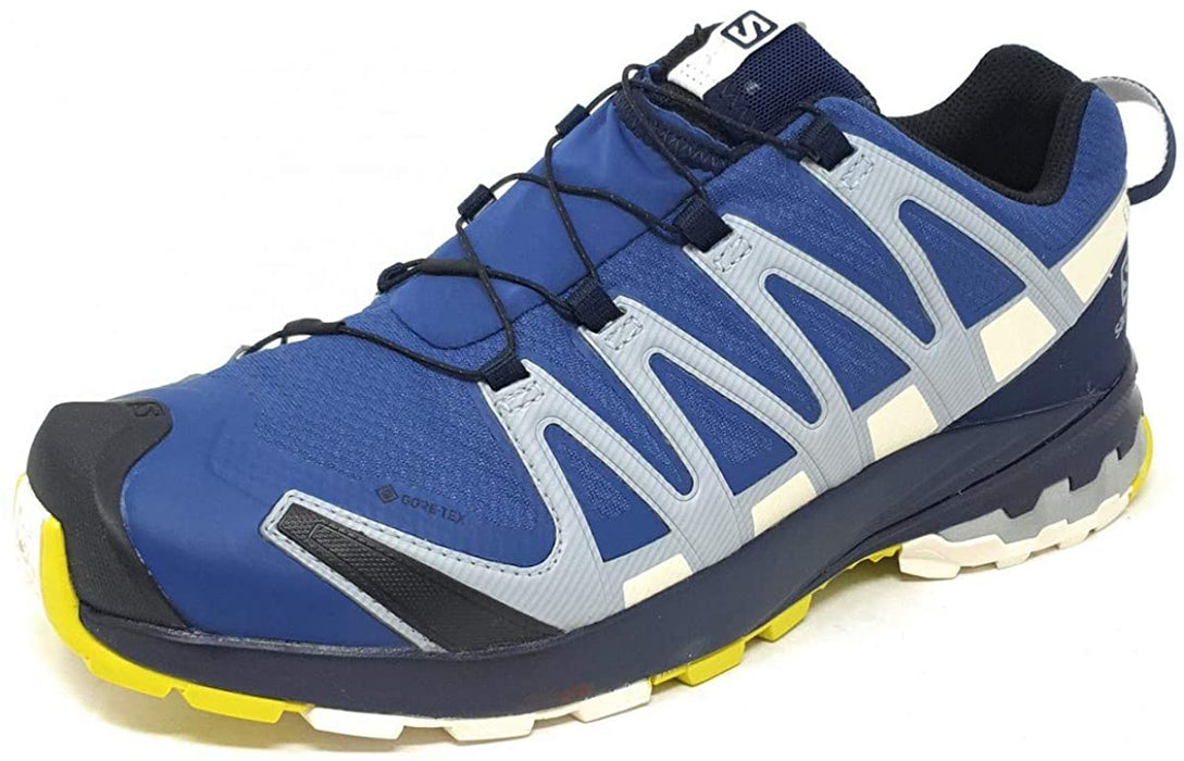 Salomon Men's Xa Pro 3D V8 GTX Trail Running