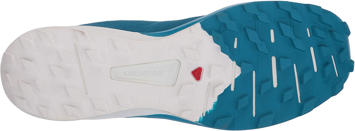 Salomon Men's Sense 4 /Pro Trail Running