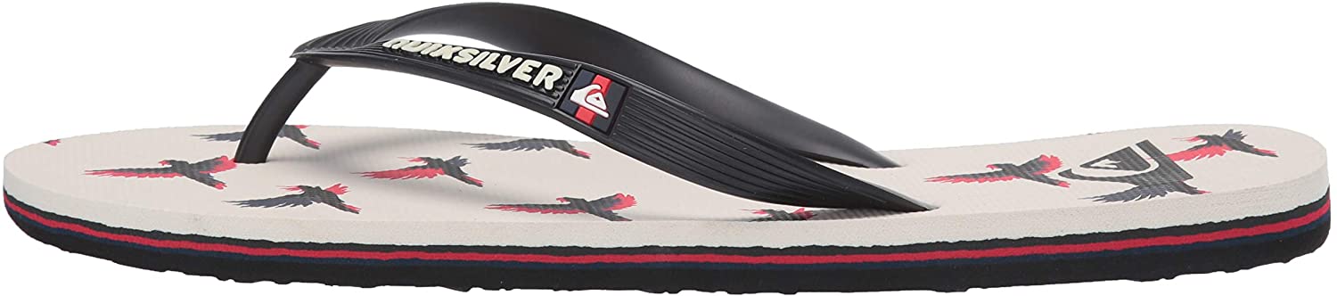 Quiksilver Men's Molokai Cockatoo Flip-Flop