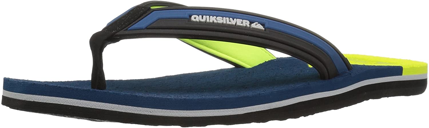 Quiksilver Men's Molokai New Wave Deluxe Flip-Flop Sandal