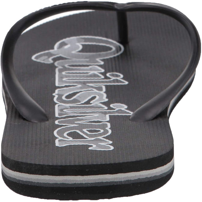 Quiksilver Men's Molokai Wordmark Fineline Sandal