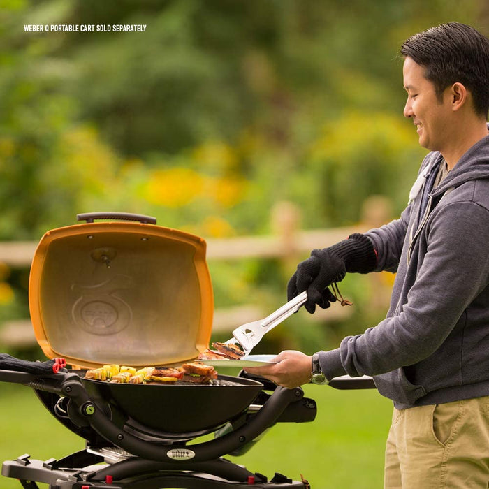 Weber 51010001 Q1200 Liquid Propane Grill