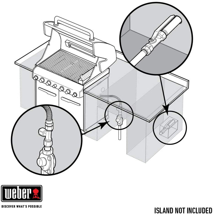 Weber Summit S-460 Built-In Natural Gas in Stainless Steel Grill