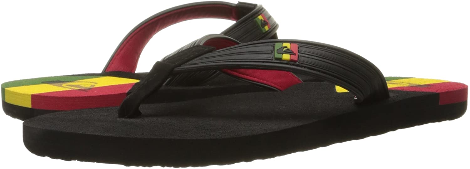 Quiksilver Men's Molokai New Wave Deluxe Flip-Flop Sandal