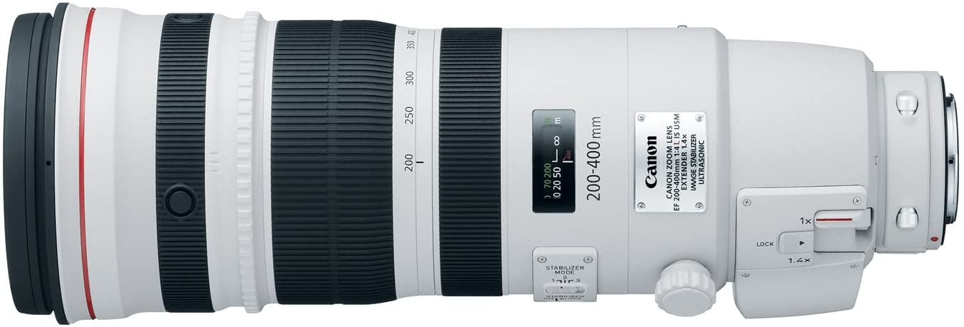 Canon EF 200-400mm f/4L IS USM Extender 1.4x