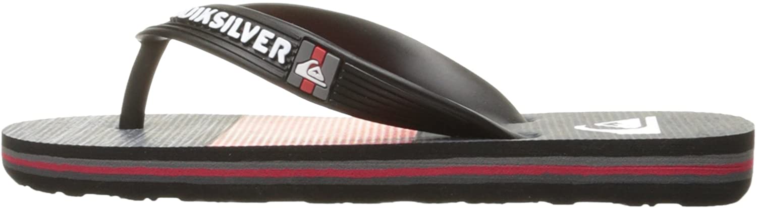 Quiksilver Kids' Molokai Art Youth Flip Flop