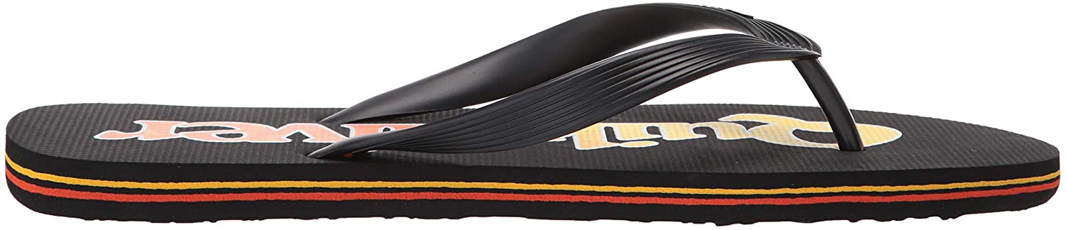 Quiksilver Men's Molokai Wordmark Fineline