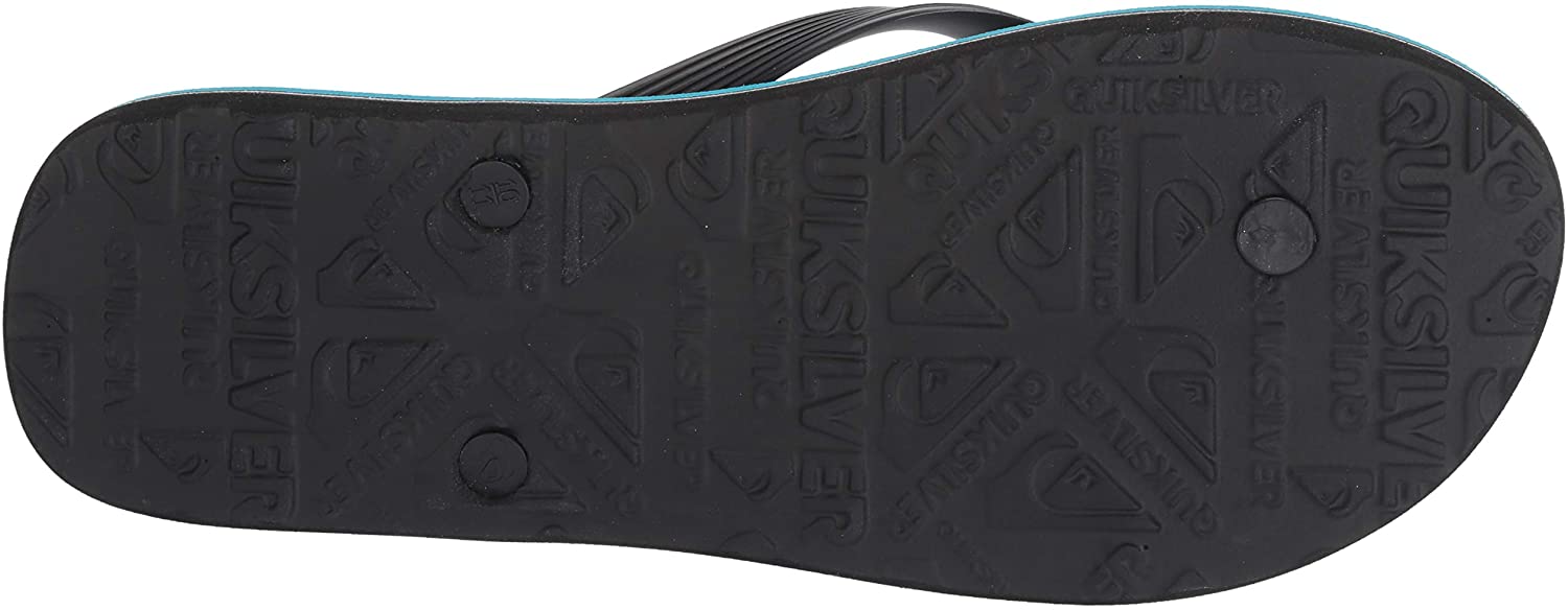 Quiksilver Men's Molokai Cockatoo Flip-Flop