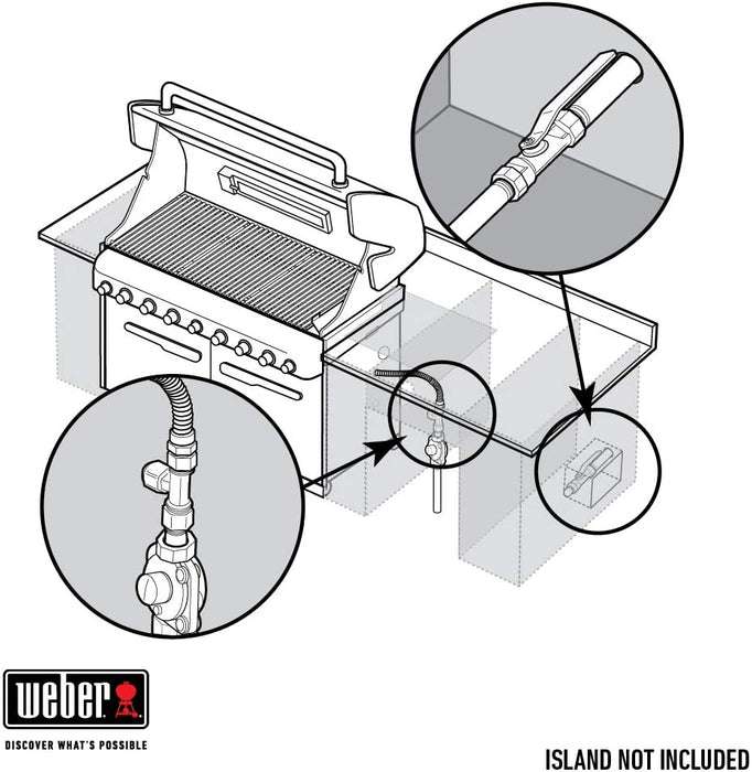 WEBER Summit S-660 Built-In Natural Gas Stainless Steel Grill (7460001)
