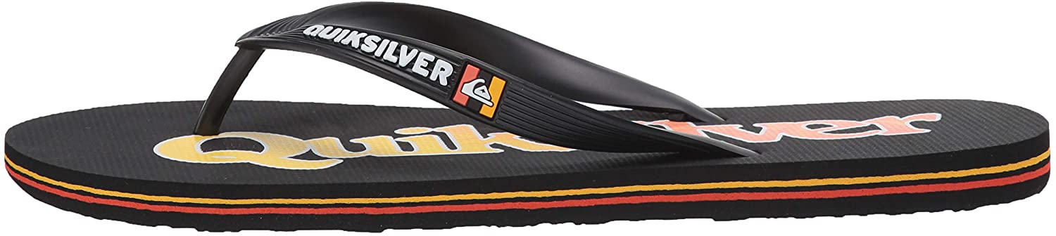 Quiksilver Men's Molokai Wordmark Fineline