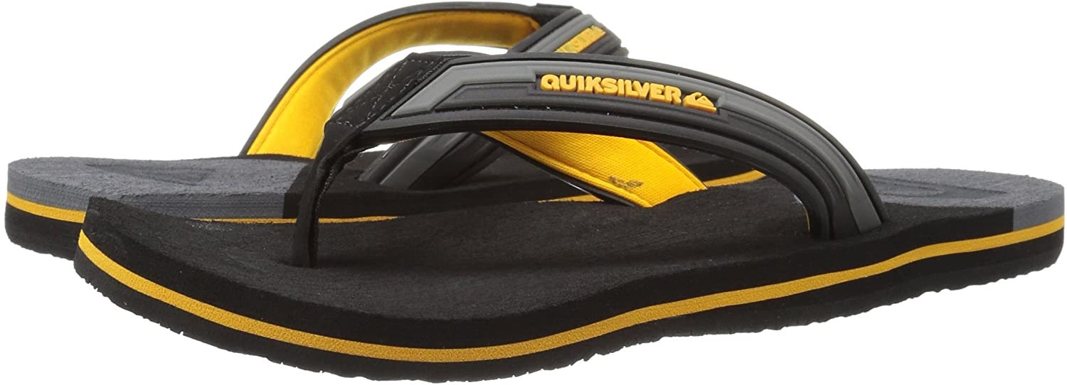 Quiksilver Men's Molokai New Wave Deluxe Flip-Flop Sandal