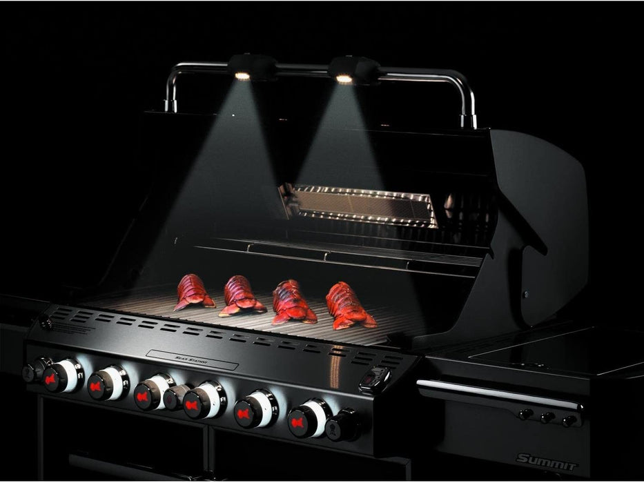 Weber 7371001 Summit E-670 6-Burner Liquid Propane Grill