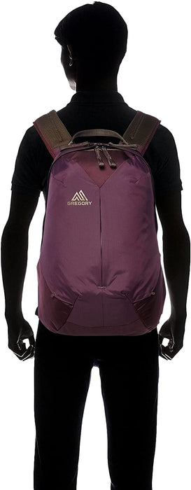 Gregory Mountain Products Sketch 22 Liter Daypack | Business, Travel, Commute | Dedicated Laptop Compartment, Durable Construction, Built in Organization Options